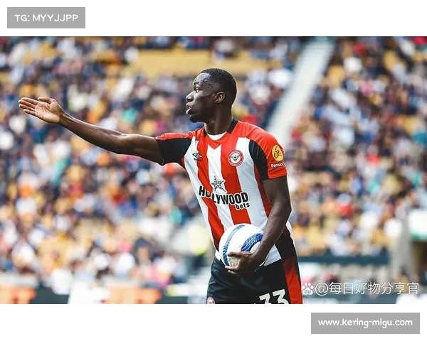 德甲球员市场价值评估,年轻球员溢价明显 德甲球员市场价值评估,年轻球员溢价明显